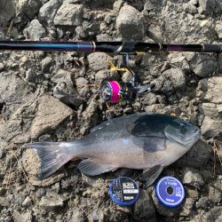 爆風、激流攻略