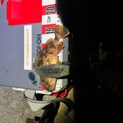 嬉しすぎるあたり！