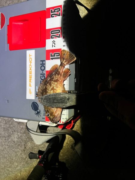 嬉しすぎるあたり！