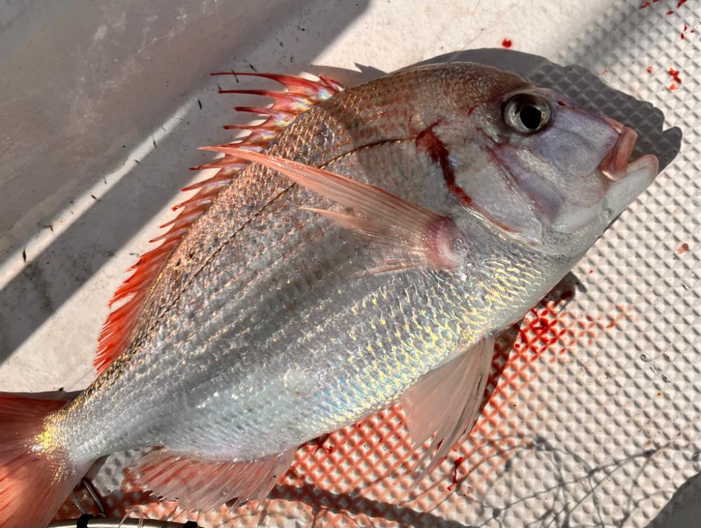 反応はあるが、