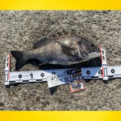 指先がかじかむことなく。