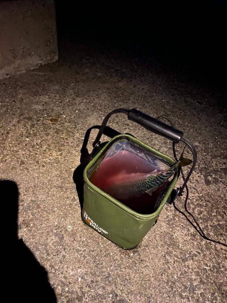 淡路島ライトゲーム