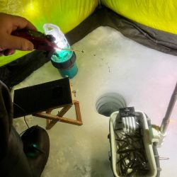 氷上ワカサギ釣り