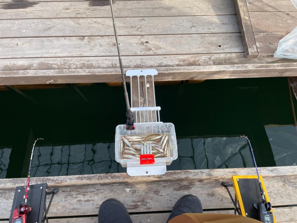 生野銀山湖にてワカサギ釣り