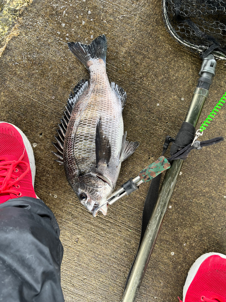 遠矢ウキサイコー