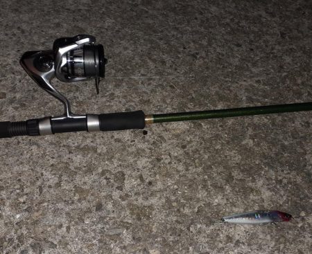 西宮周辺　シーバス