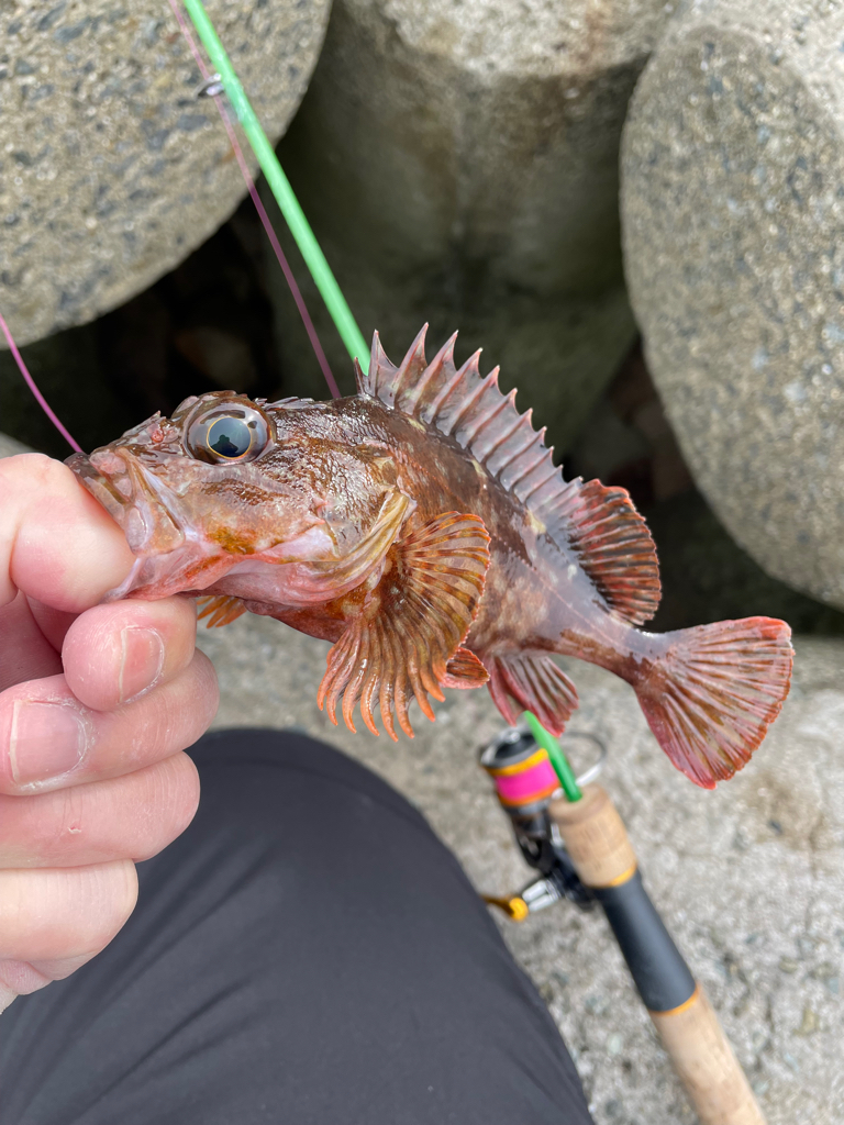 帰ってきた穴釣りNo.5