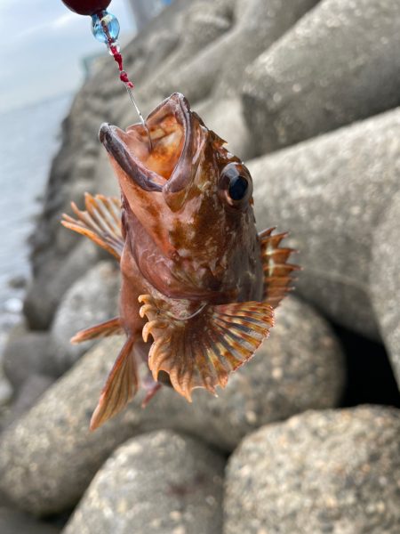 帰ってきた穴釣りNo.4