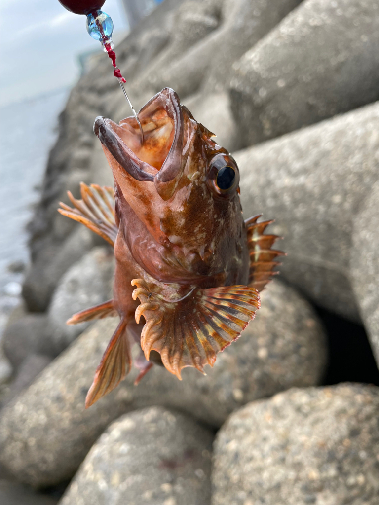 帰ってきた穴釣りNo.4