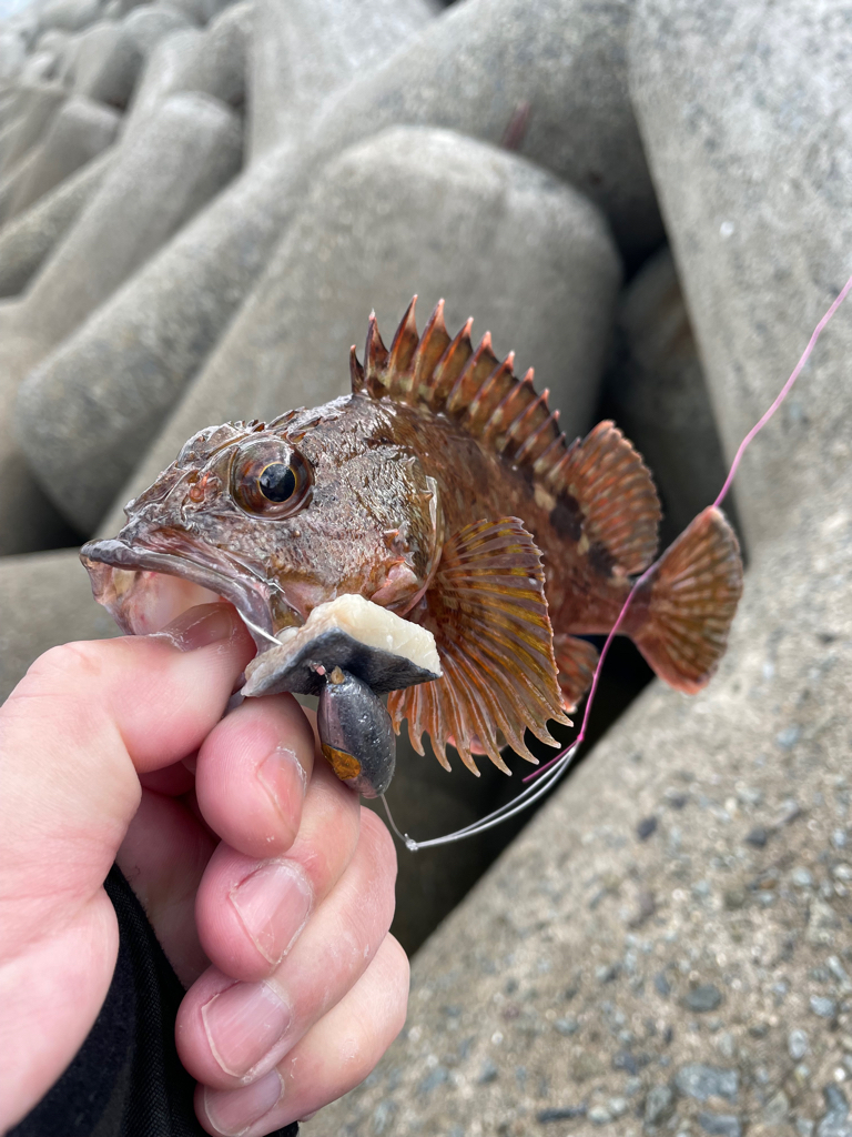 帰ってきた穴釣りNo.6