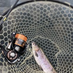 釣食浪漫 ～釣って食べて家庭円満～