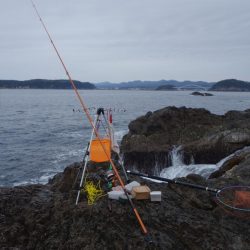2日連続磯渡しで…