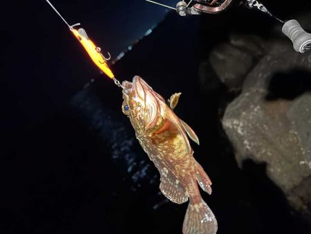 激渋メバリング|全然アタリが有りません!