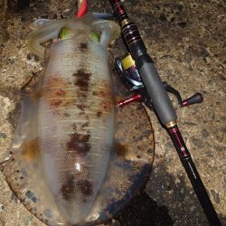 凪エギングin対馬