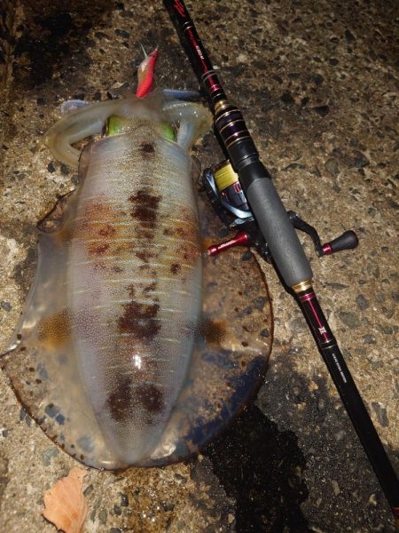 凪エギングin対馬