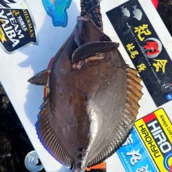 和歌山市江（吉丸渡船）で磯フカセ