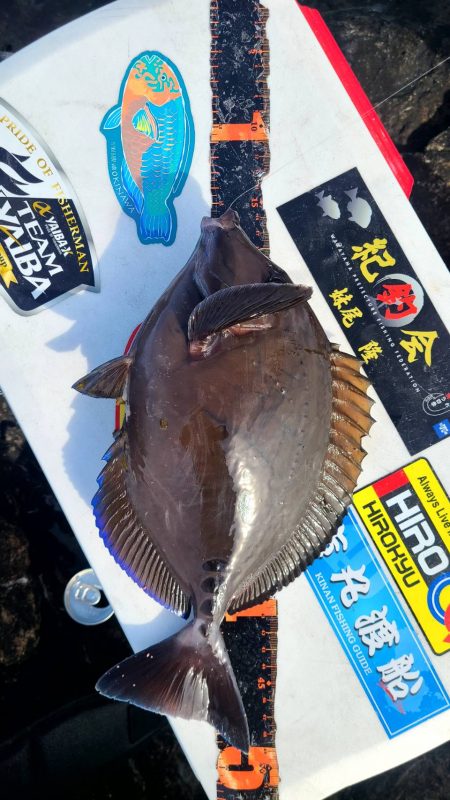 和歌山市江（吉丸渡船）で磯フカセ