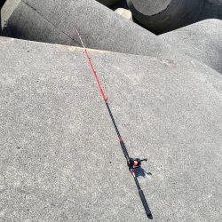 和歌山 御坊の堤防でウツボ釣り