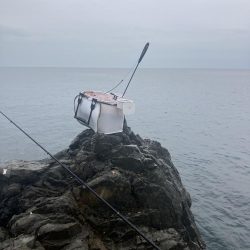 たかたか釣り日記