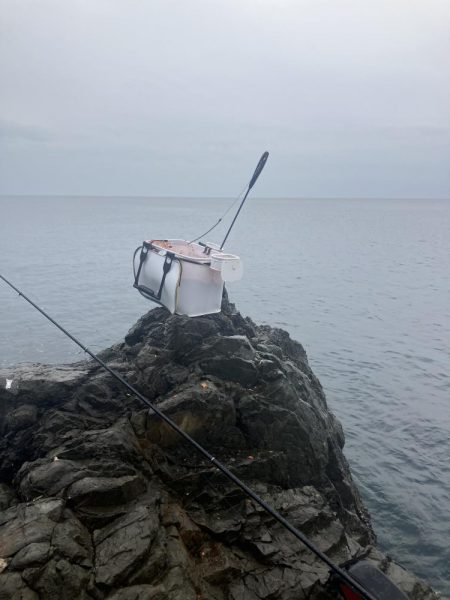 たかたか釣り日記