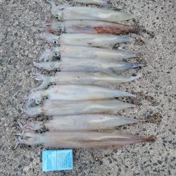 男のデイゲーム