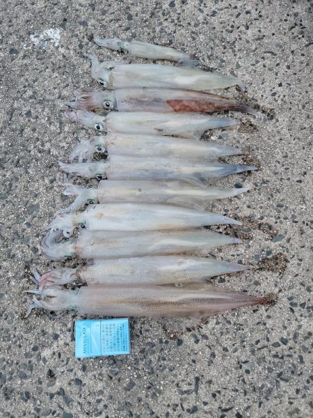 男のデイゲーム