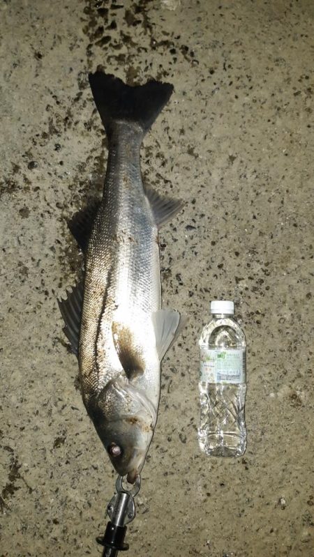 1週間ぶりに行ってきました。