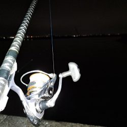 遅ればせながら初釣り