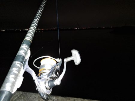 遅ればせながら初釣り