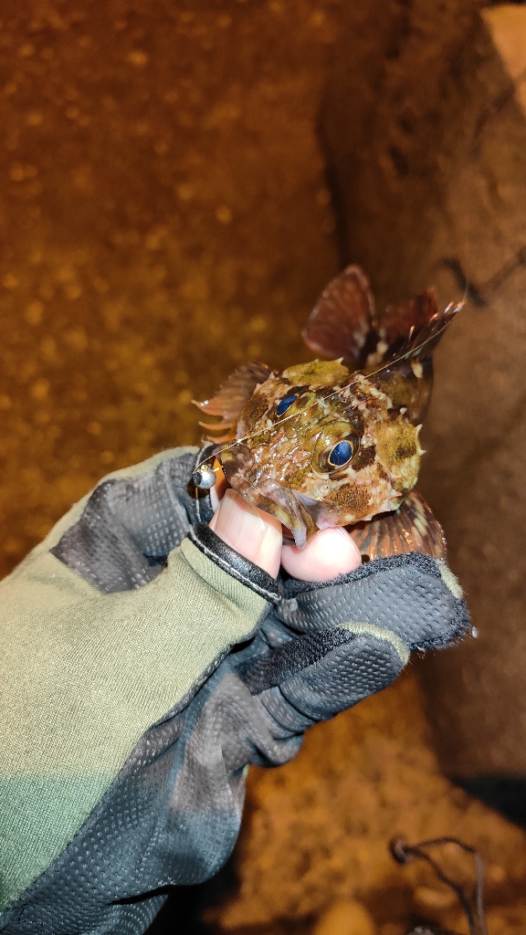 昨日のリベンジ