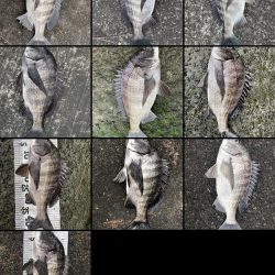 イチノ兄弟（兄）釣果！