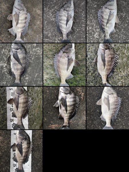 イチノ兄弟（兄）釣果！