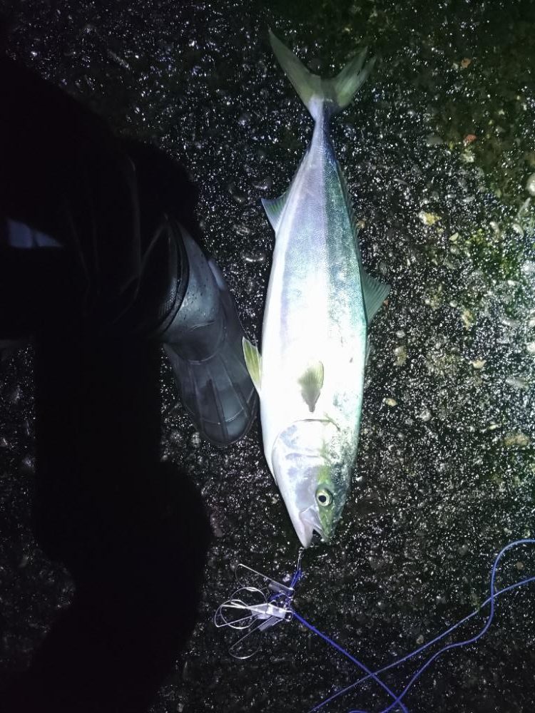 そろそろ終盤？