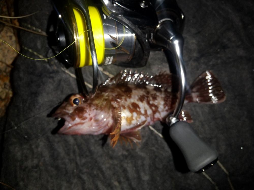 ライトなゲーム