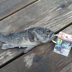 オーパさんでイベント☆