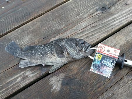 オーパさんでイベント☆