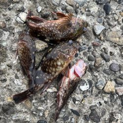 比較的暖かい夜