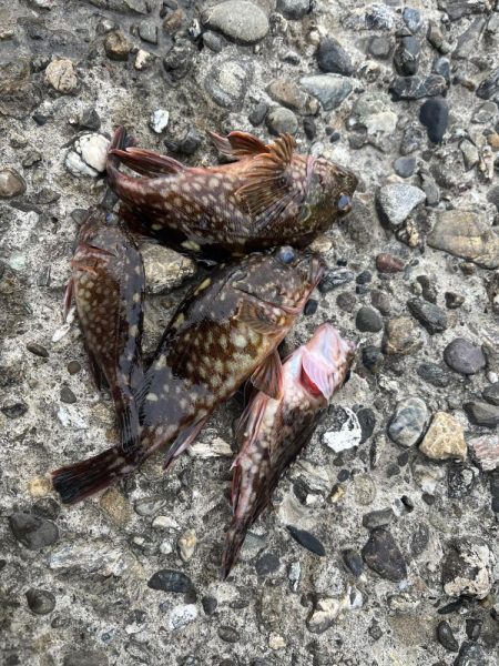 比較的暖かい夜