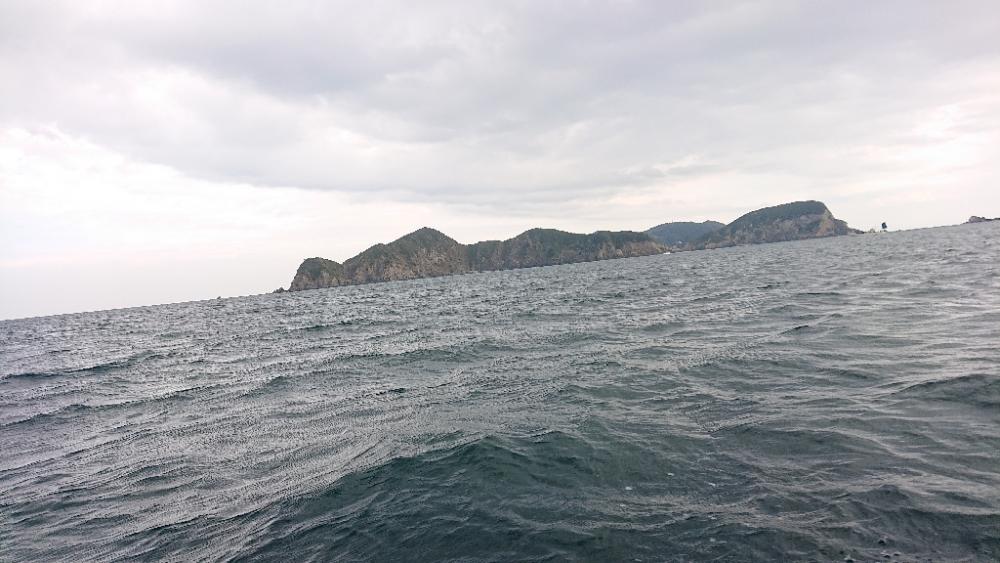 カワハギ狙いと鯛ラバと