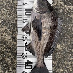 イチノ兄弟（兄）釣果！