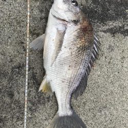 投げていろいろ