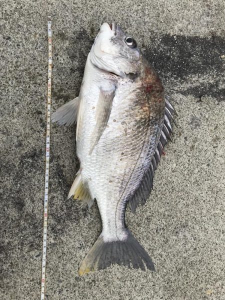 投げていろいろ