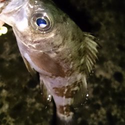 風がやんだのでライトゲーム