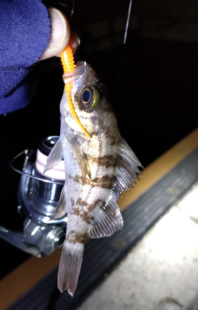 上げ潮の一瞬だけ