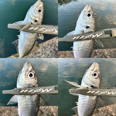 やっぱりスプリット