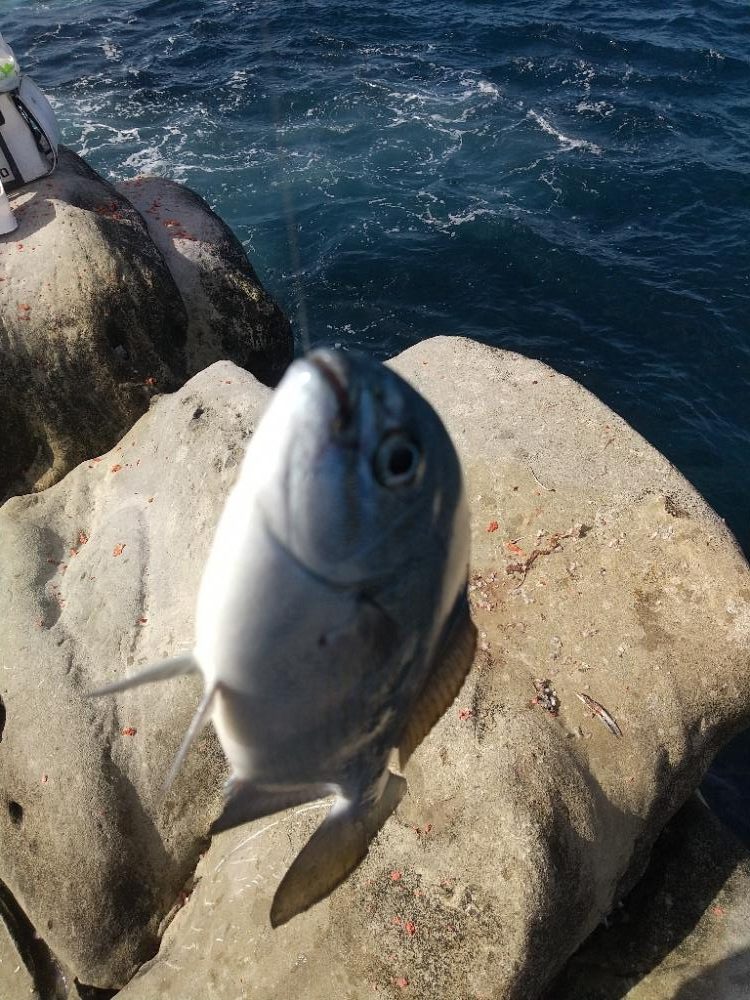 シーズン初沖磯