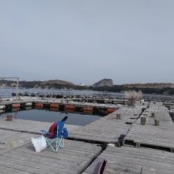 海恵でサーモンコーナーと一般生け簀貸し切り