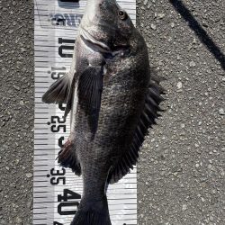 イチノ兄弟（兄）釣果！