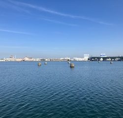 体高ありました！