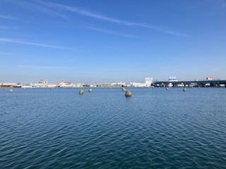 体高ありました！